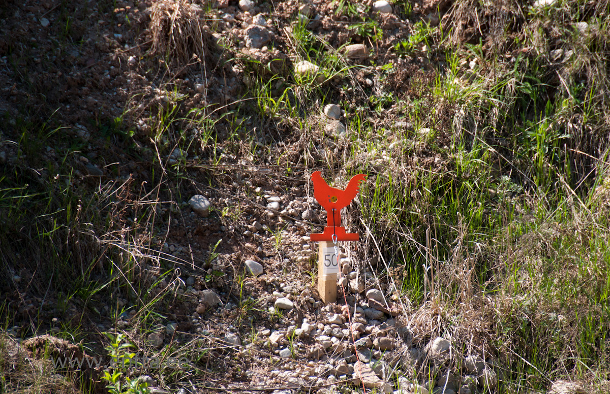 Target down in a hollow